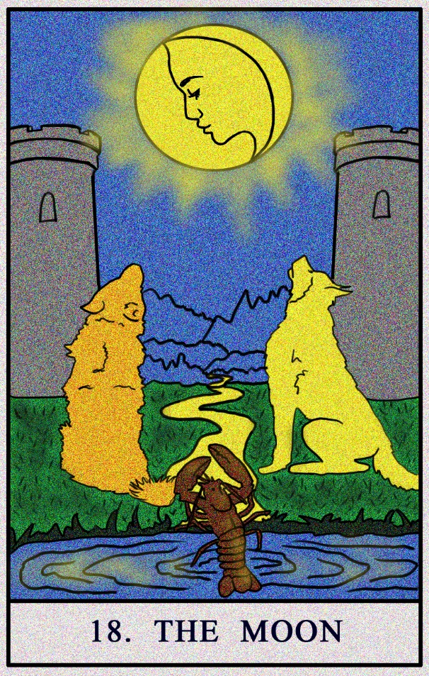 daily tarot card